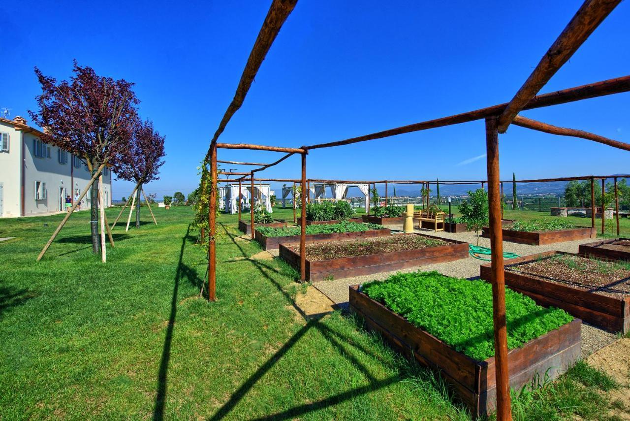 Il Sole Di Vino By Posarellivillas Vinci Eksteriør billede