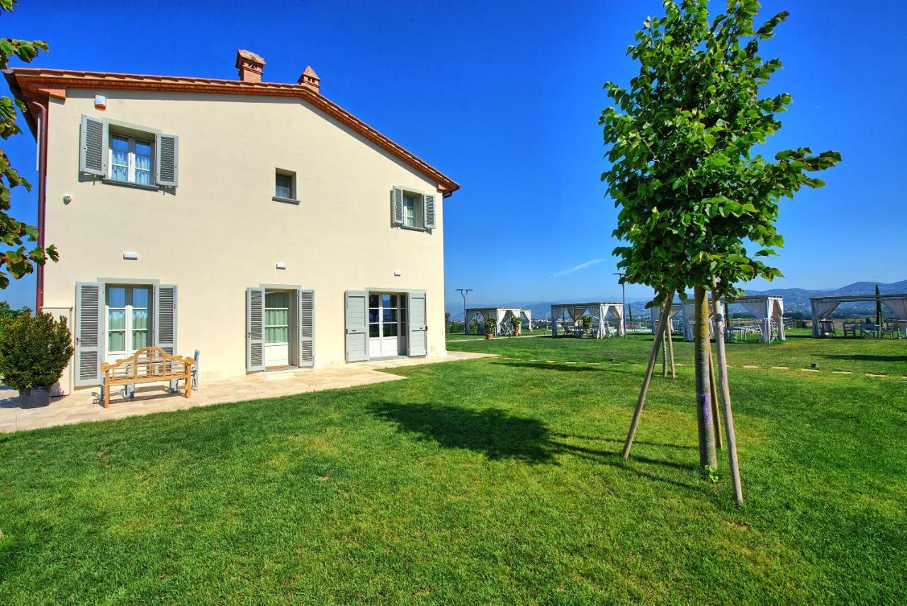 Il Sole Di Vino By Posarellivillas Vinci Eksteriør billede